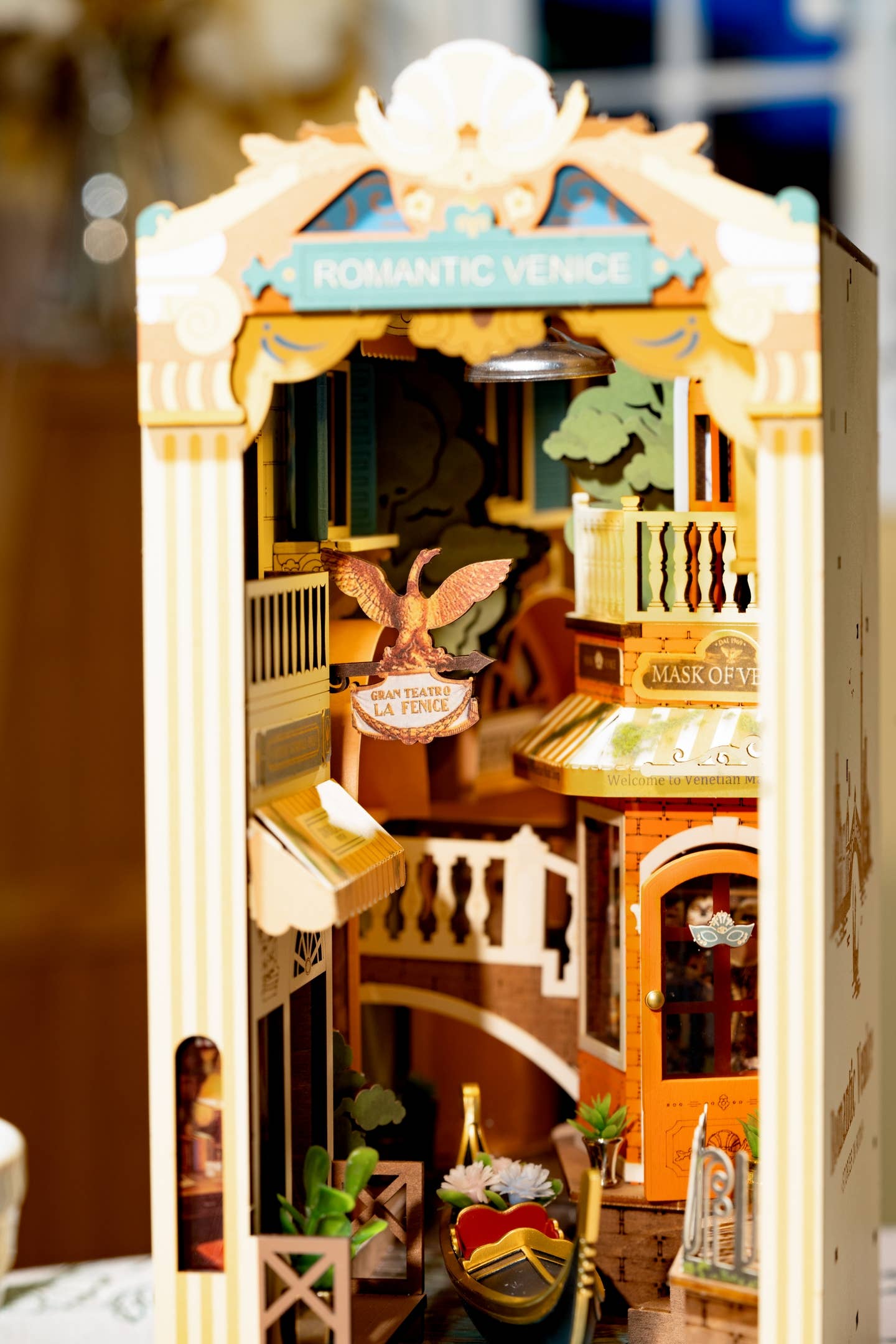 Romantic Venice with Dust Cover