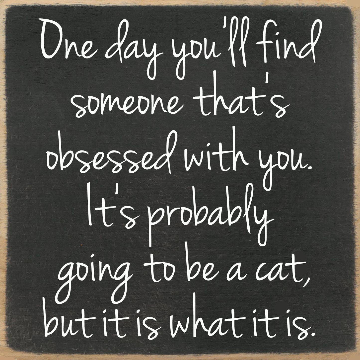 5x5-230 Obsessed cat