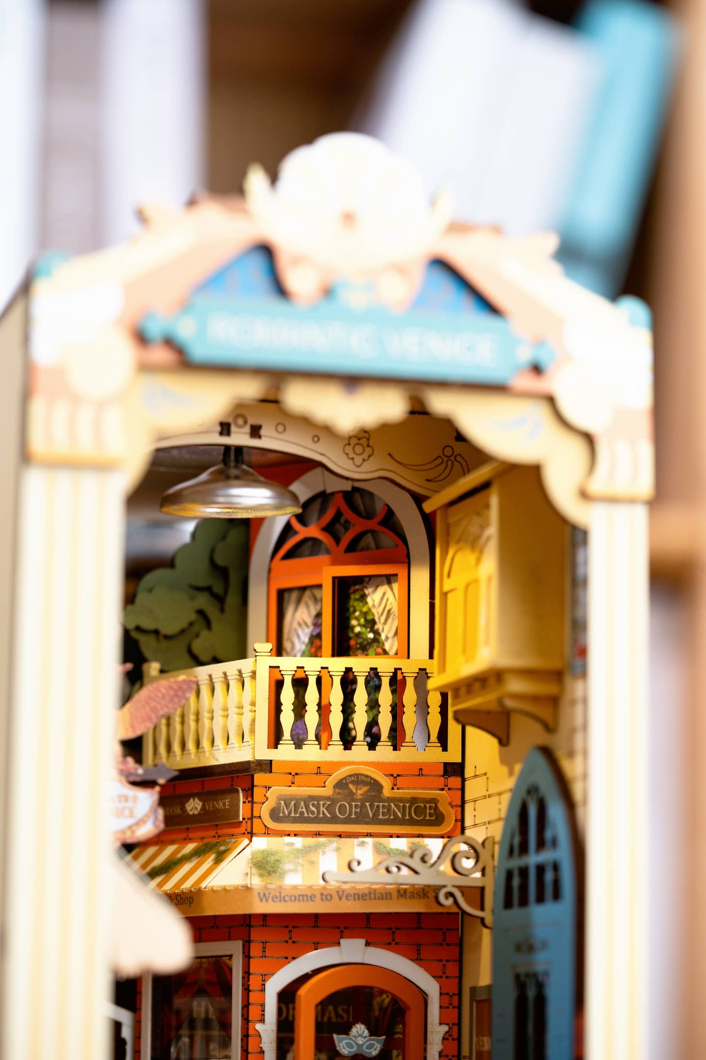 Romantic Venice with Dust Cover