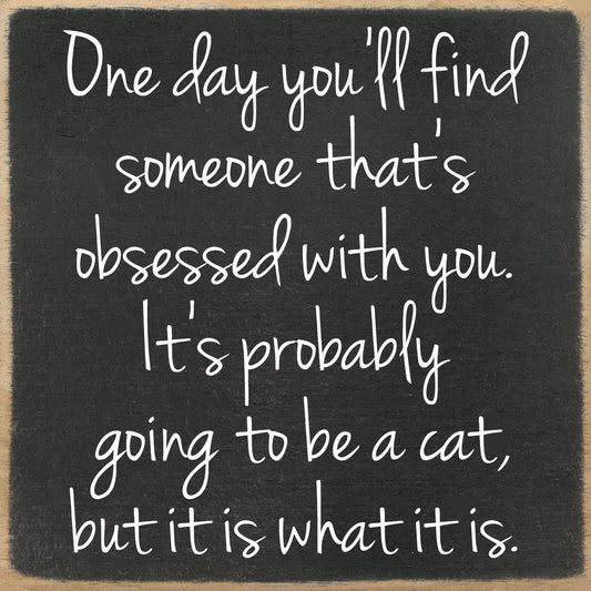 5x5-230 Obsessed cat