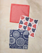 Talon Dishcloth Set