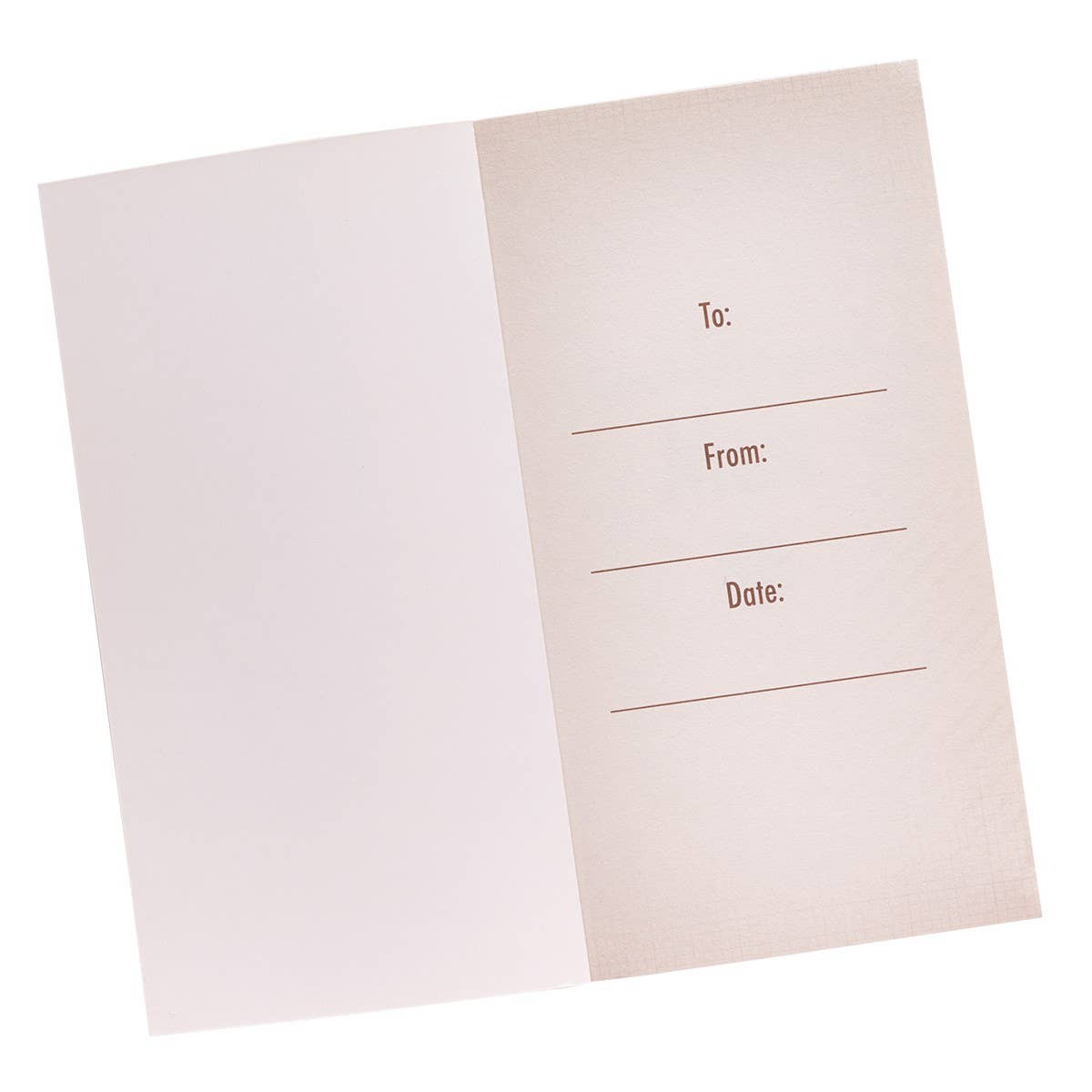 God Moments for Men Softcover