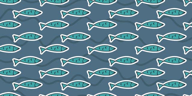 Blue Fish Baby Gown
