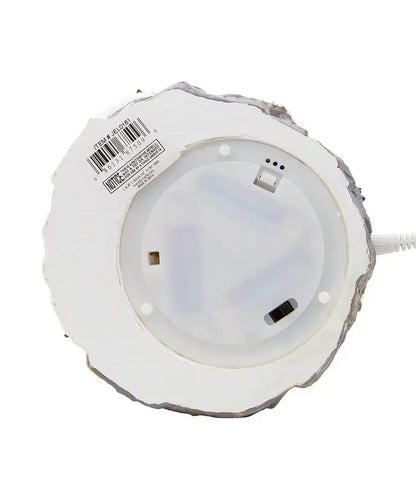 Battery Operated Musical Santa and Sled Water Globe