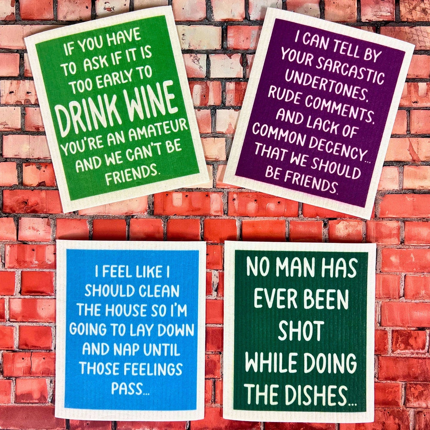 We Should Be Friends Funny Swedish Dishcloths - Friend Gift