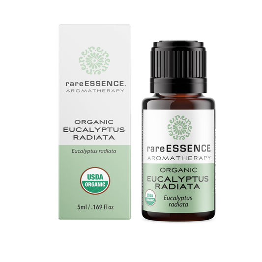 Eucalyptus Radiata  - 5ml - Organic