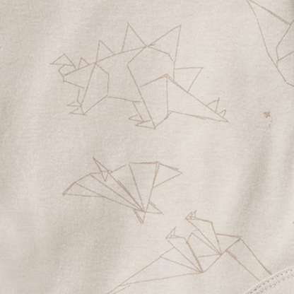 Origami Dinos Baby Boy Bodysuit & Jumpsuit Set
