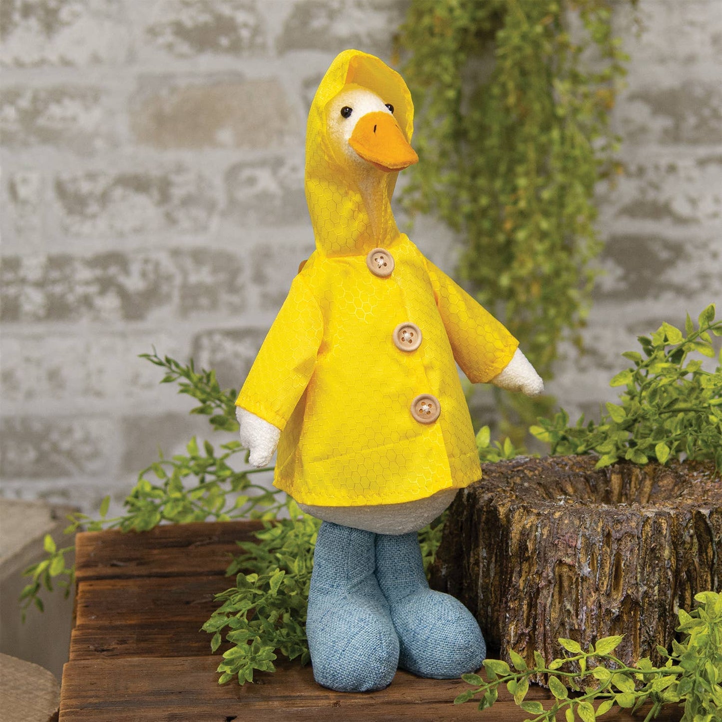 Standing Duck in Raincoat